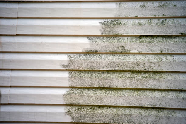 Best Siding Replacement  in Provo, UT