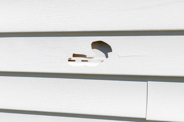 Best Siding for New Construction  in Provo, UT